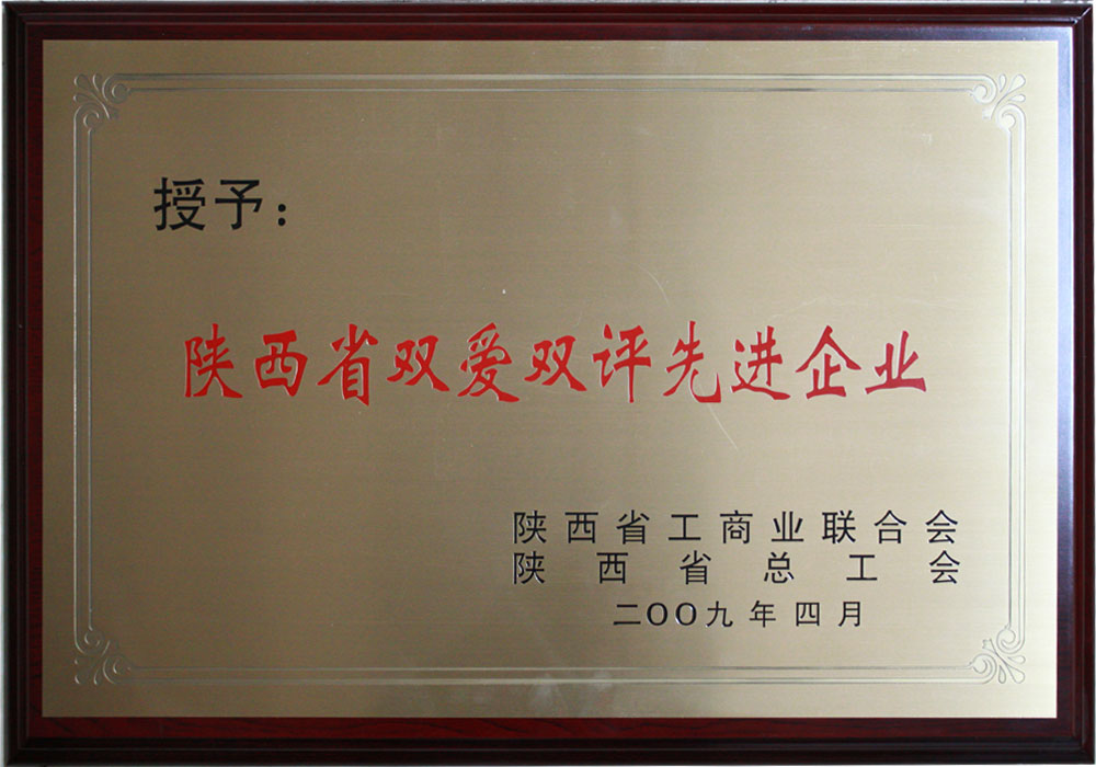 2009年陜西省雙愛(ài)雙評(píng)先進(jìn)企業(yè)