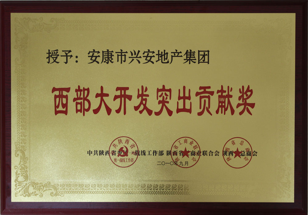 西部大開(kāi)發(fā)突出貢獻(xiàn)獎(jiǎng)